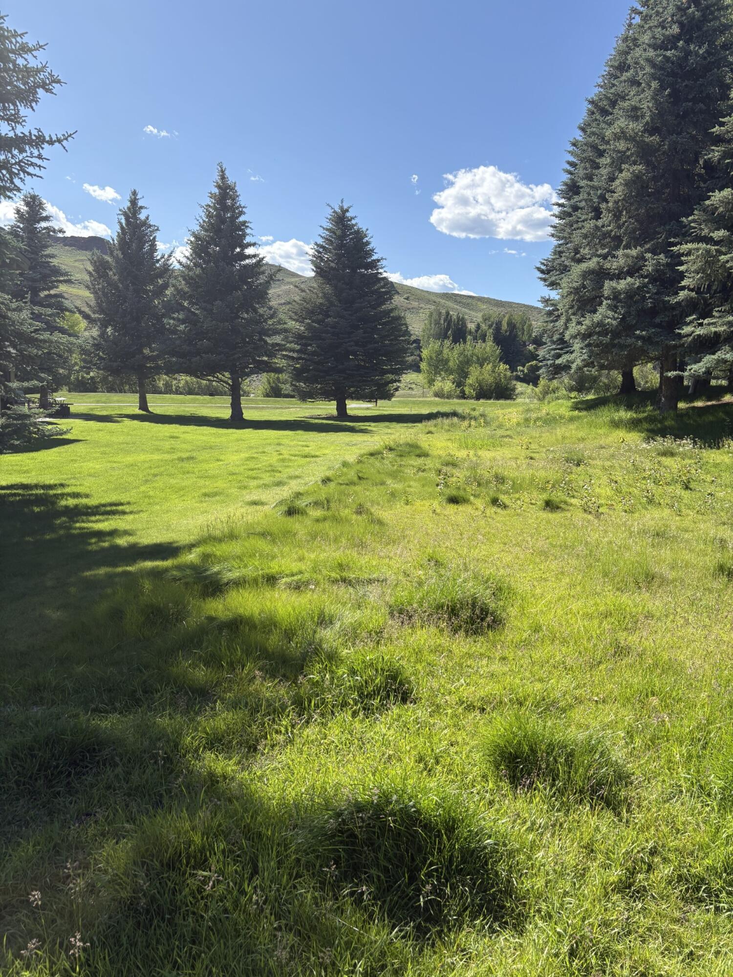 232 Elkhorn Road Sun Valley, ID 83353 - Photo 5 of 14 June 4