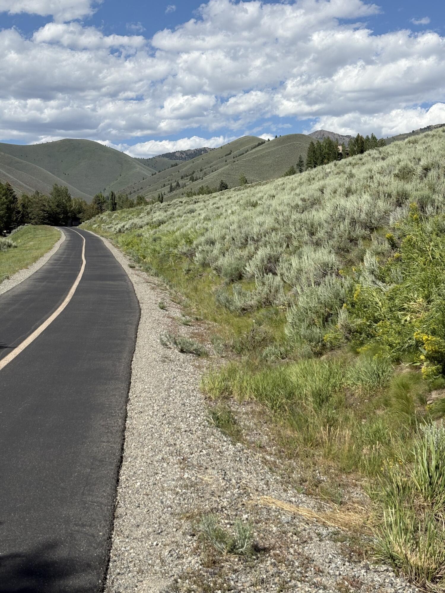 232 Elkhorn Road Sun Valley, ID 83353 - Photo 6 of 14 June 5