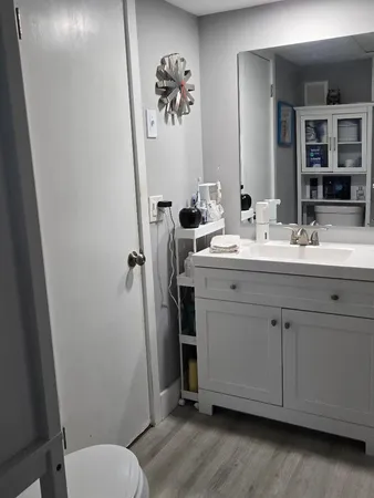 a bathroom with a sink mirror toilet and vanity