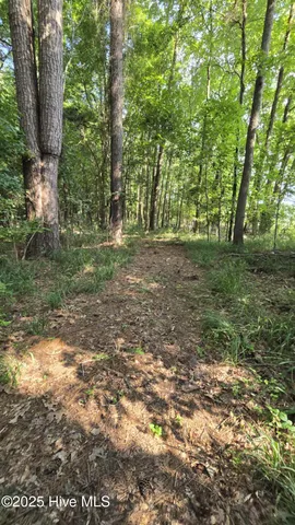 $1,200,000 | 2639 Highway 211, Clarkton, NC 28433