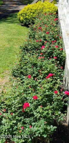 $1,200,000 | 2639 Highway 211, Clarkton, NC 28433