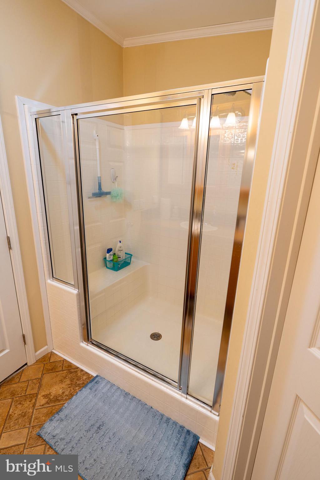 688 Hopeland Road Lititz, PA 17543 - Photo 18 of 29 Shower in first full bath