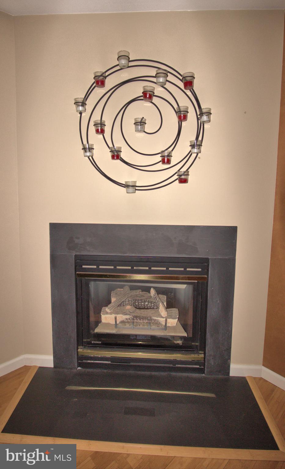 531 Royal Tern Lititz, PA 17543 - Photo 31 of 52 Gallery Image 31