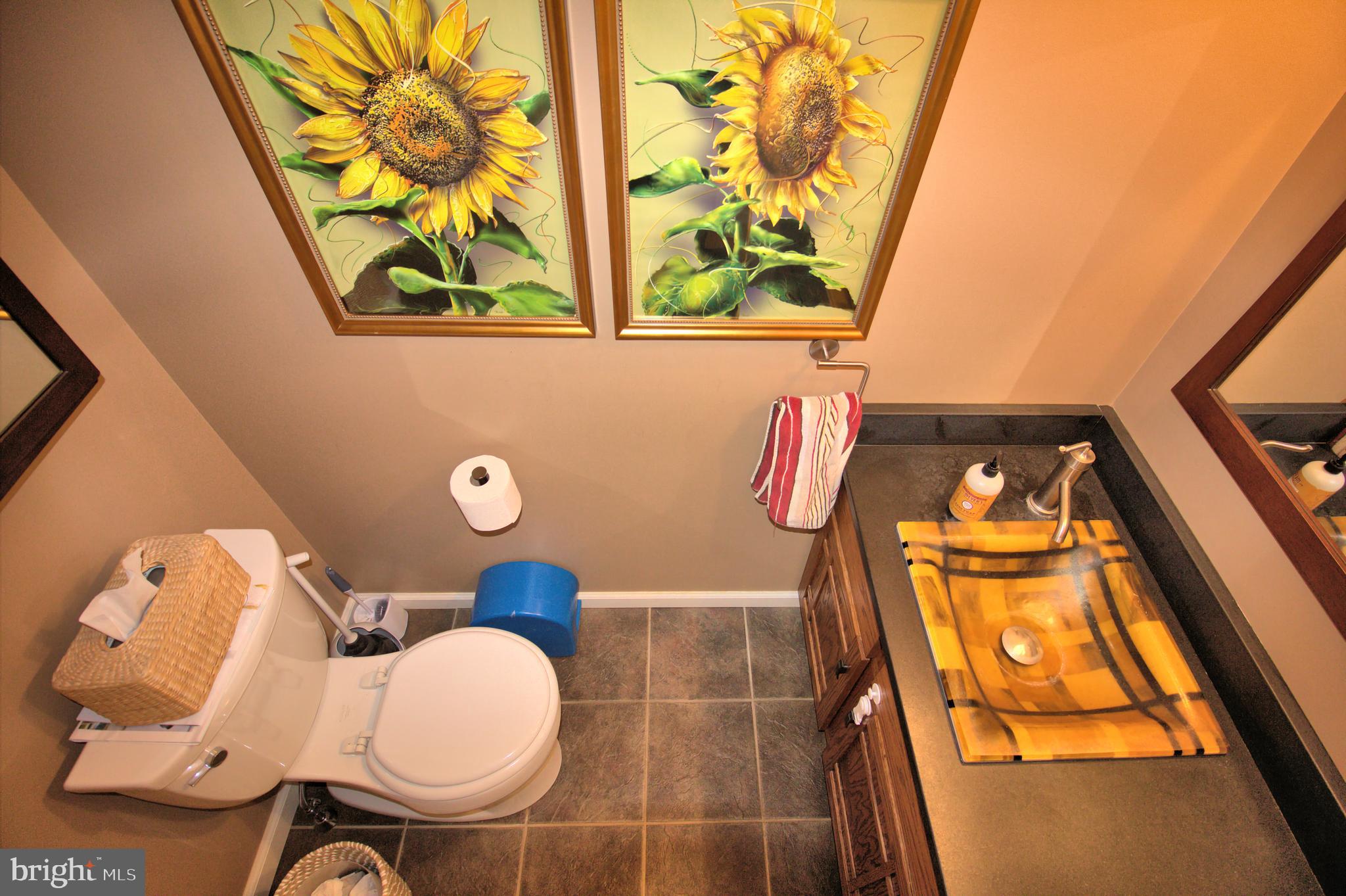 531 Royal Tern Lititz, PA 17543 - Photo 10 of 52 Gallery Image 10
