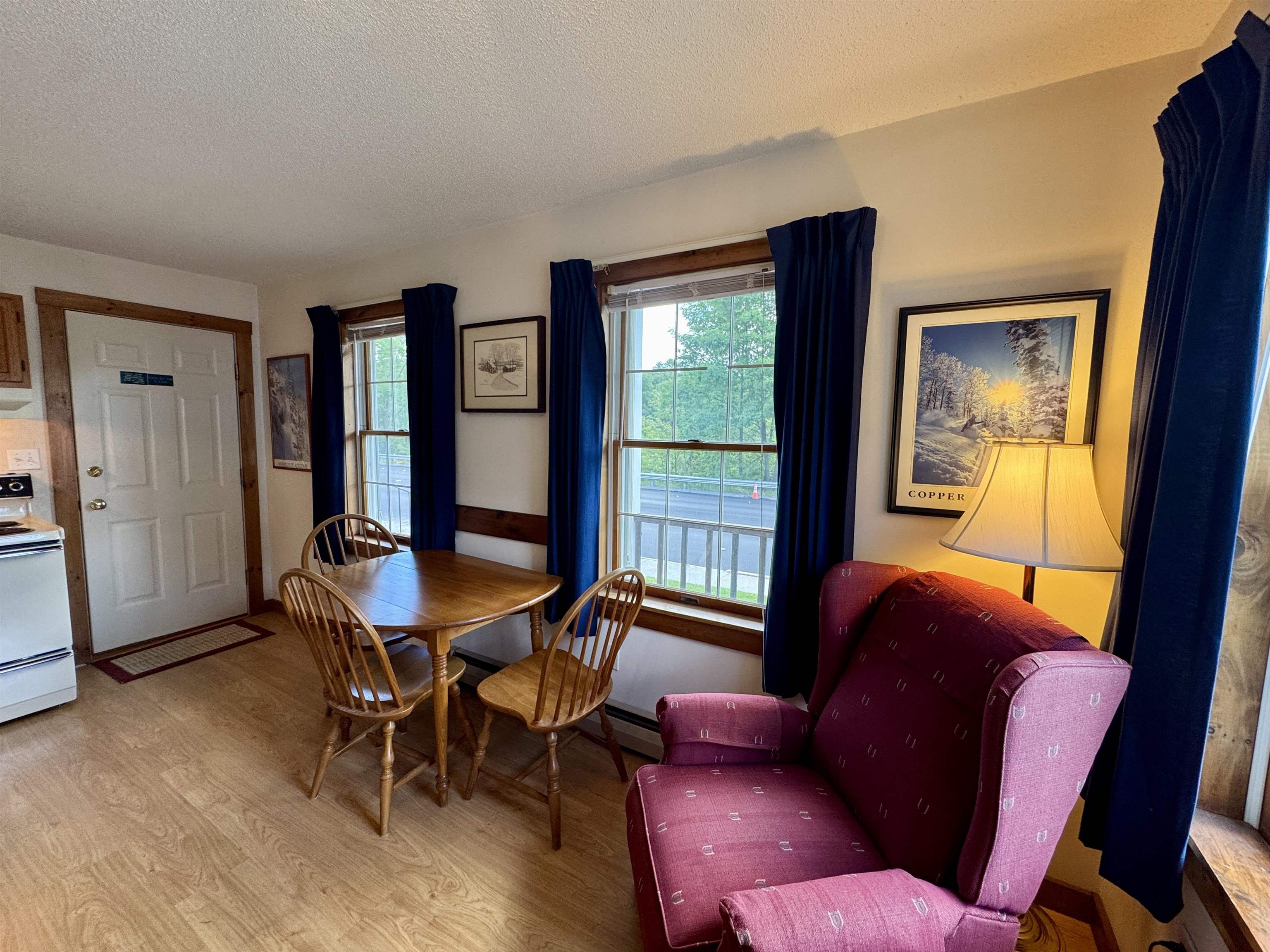 30 Pond Street, Unit 8 Ludlow, VT 05149 - Photo 7 of 28