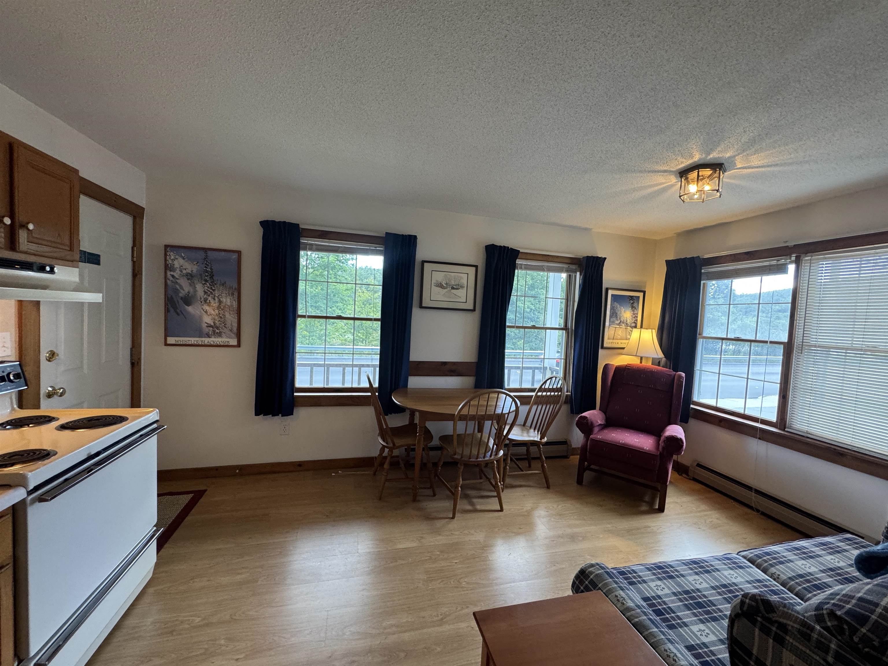 30 Pond Street, Unit 8 Ludlow, VT 05149 - Photo 9 of 28