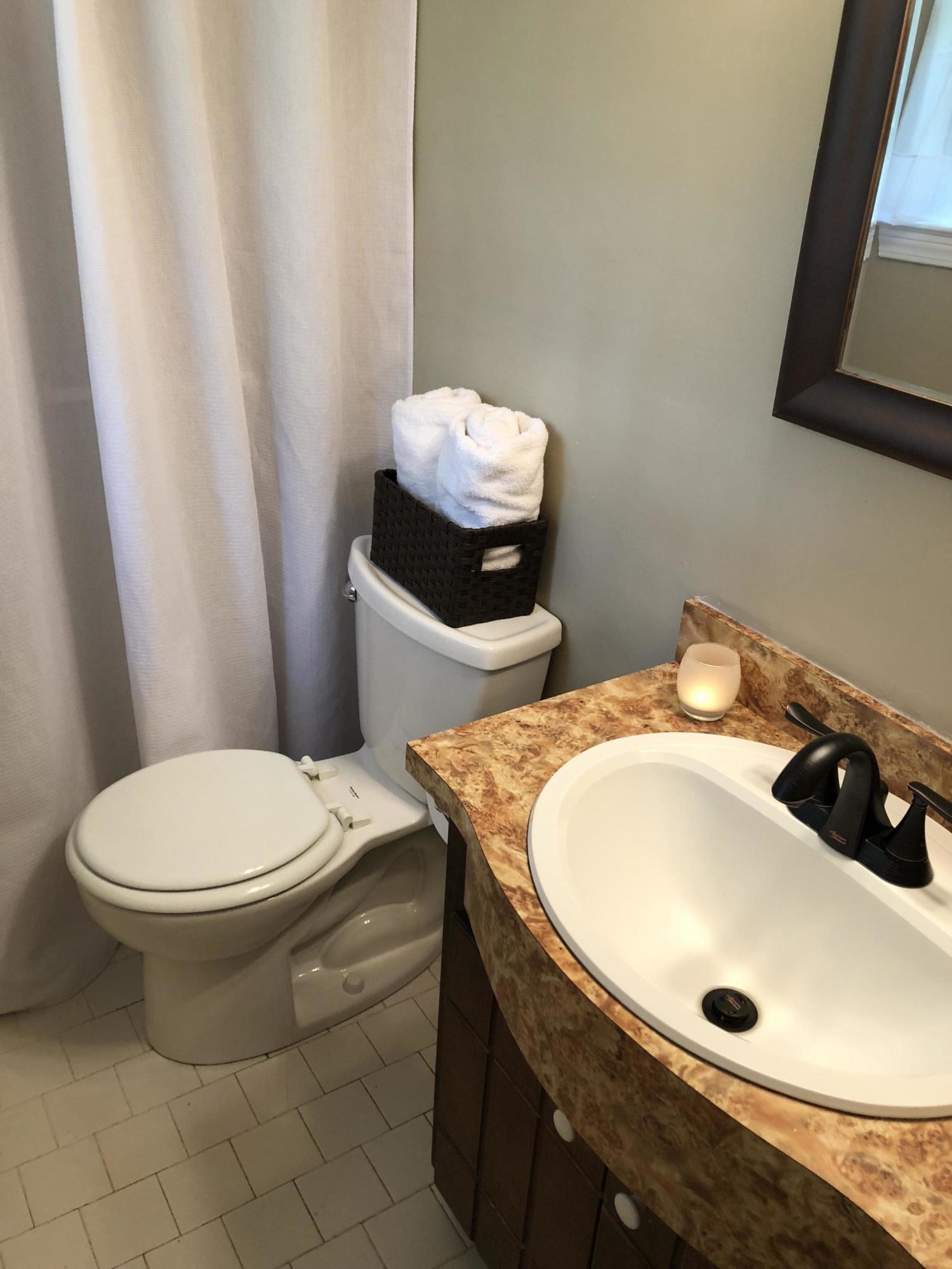 7109 Cane Hollow Road Hixson, TN 37343 - Photo 14 of 20 Master Bath