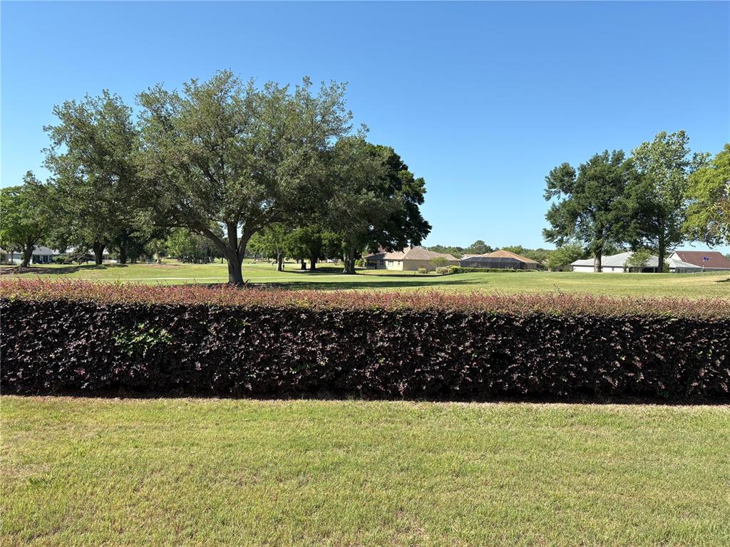 9288 Southwest 93rd Circle Ocala, FL 34481 - Photo 24 of 24 a view of a yard