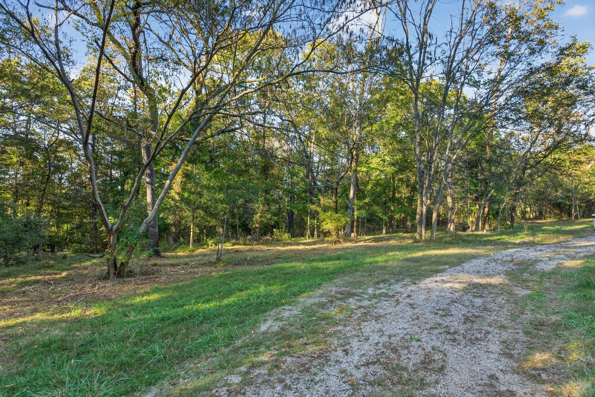1844 Sedberry Road Thompson's Station, TN 37179 - Photo 14 of 28 a view of a park with large trees
