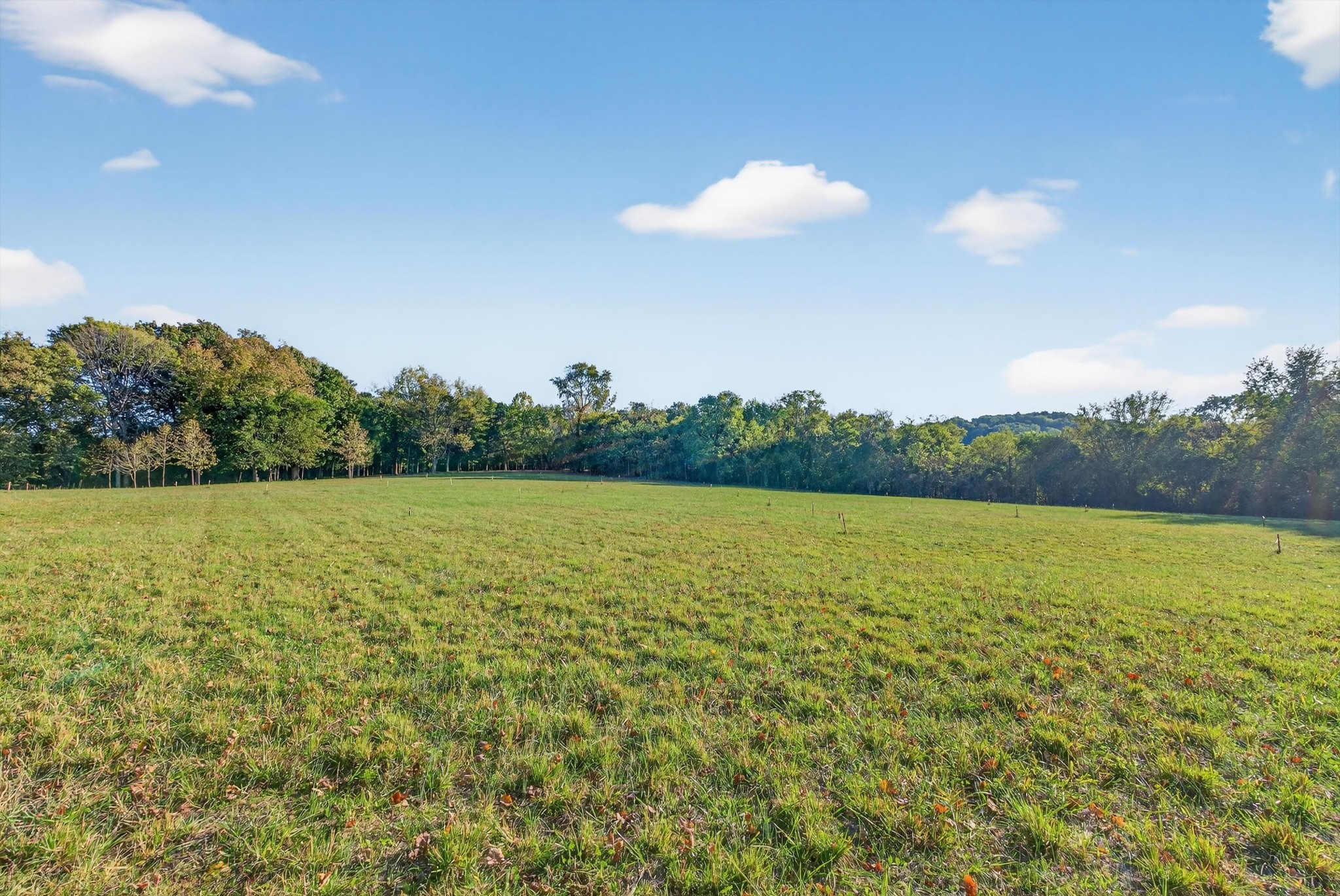 1844 Sedberry Road Thompson's Station, TN 37179 - Photo 15 of 28 a view of an ocean and a mountain