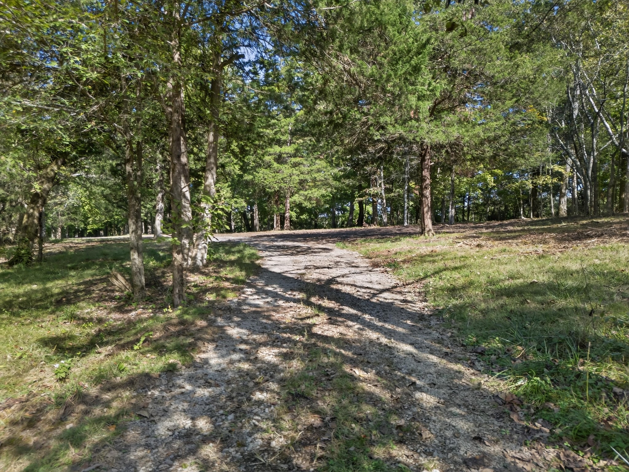 1844 Sedberry Road Thompson's Station, TN 37179 - Photo 5 of 28 a fire hydrant in the middle of a field