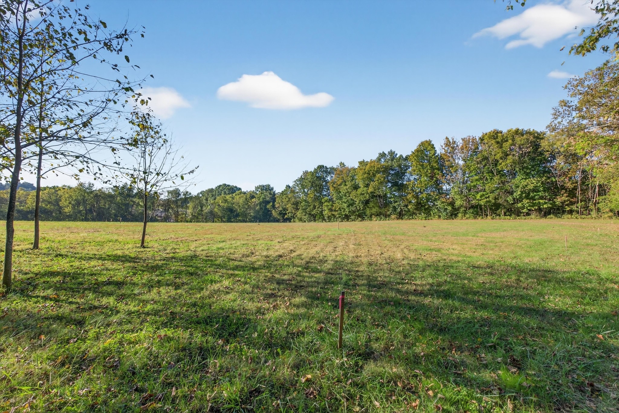 1844 Sedberry Road Thompson's Station, TN 37179 - Photo 9 of 28 a view of a green field