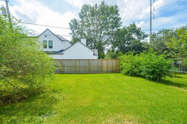 a view of a backyard with plants and large tree