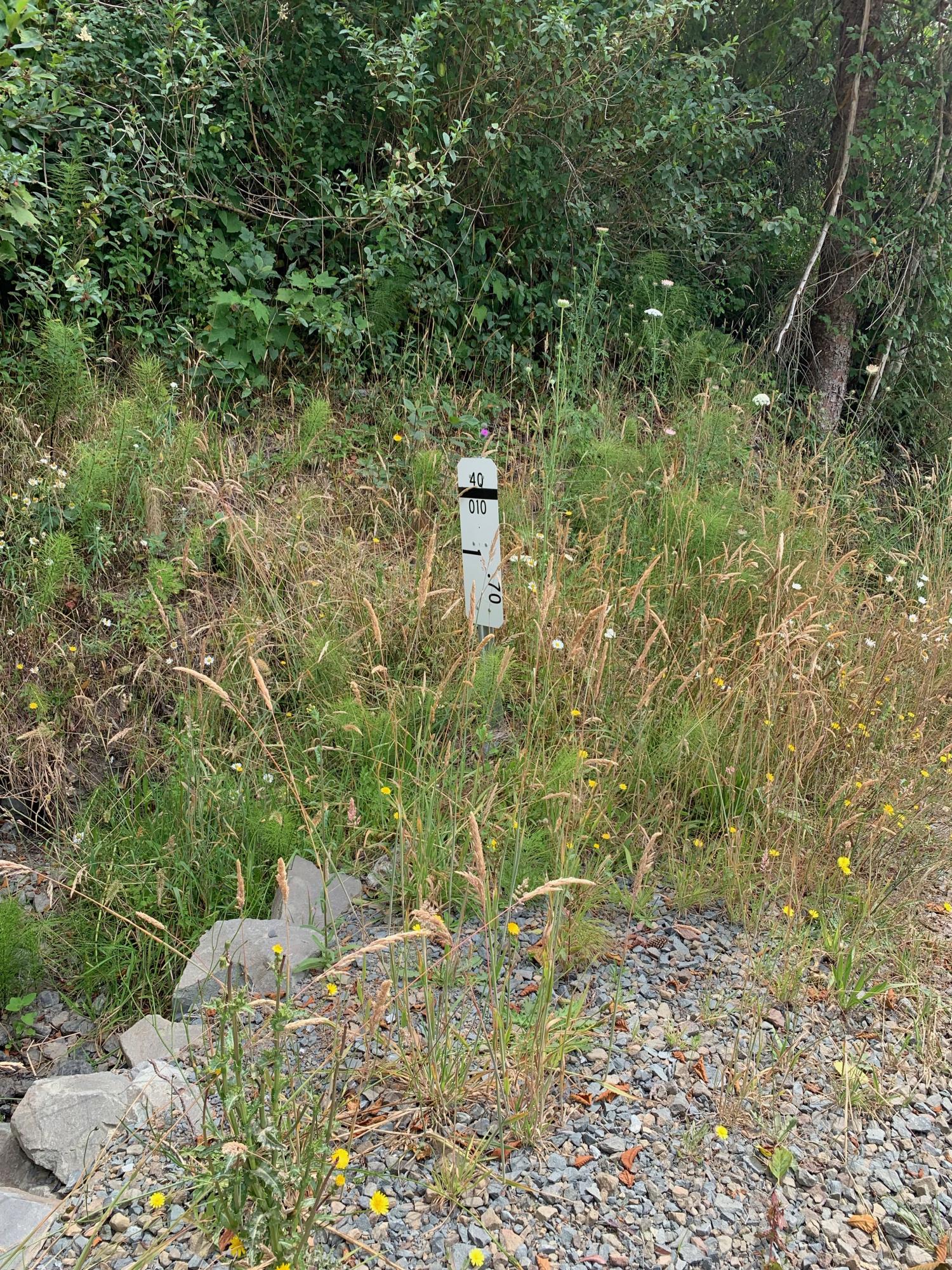 0 Kane Road Trinidad, CA 95570 - Photo 15 of 46