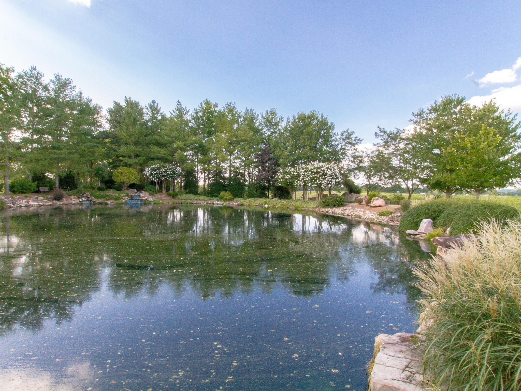 1480 Old Hunters Point Pike Lebanon, TN 37087 - Photo 3 of 63