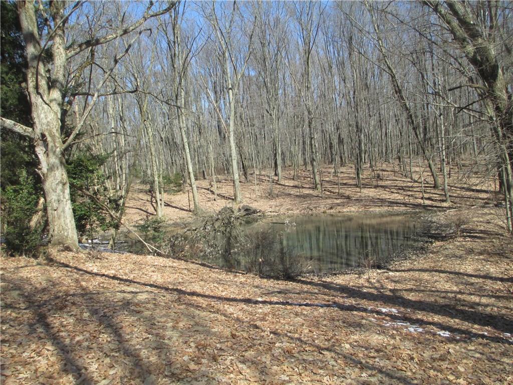 1203 Meridian Road Butler, PA 16002 - Photo 21 of 21 Pond