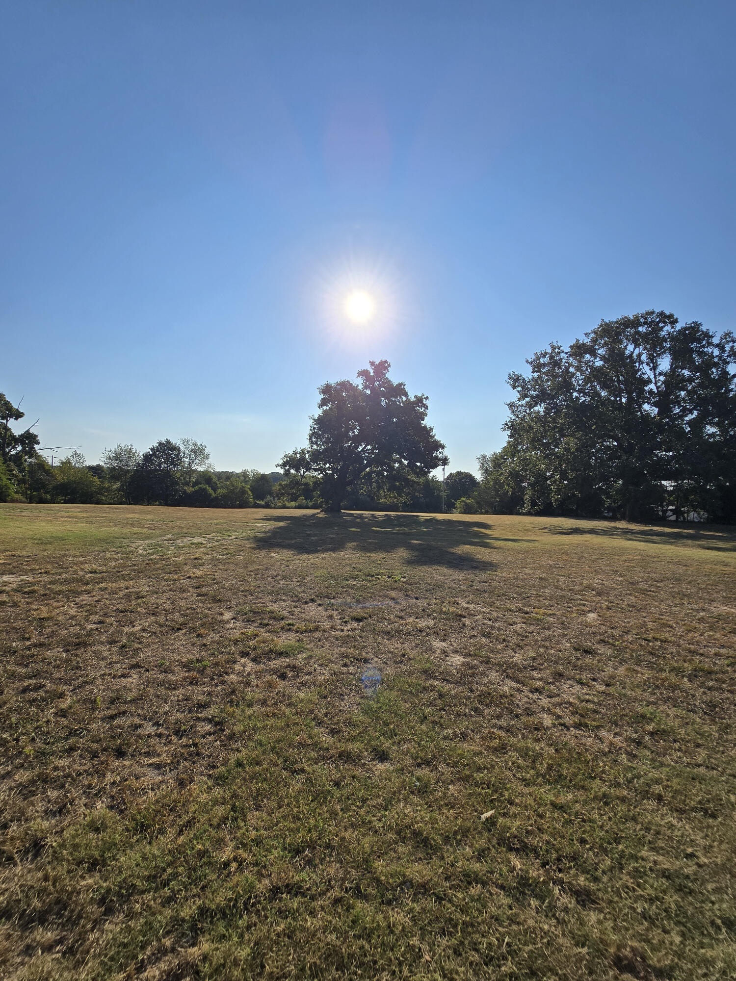 4513 State Route North Pomona, MO 65789 - Photo 34 of 41 34) 77087-6aa84ad6da0d2