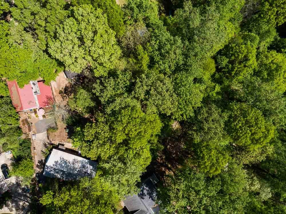 3604 Laurel Circle Raleigh, NC 27612 - Photo 6 of 59 an aerial view of residential house with outdoor space and trees all around