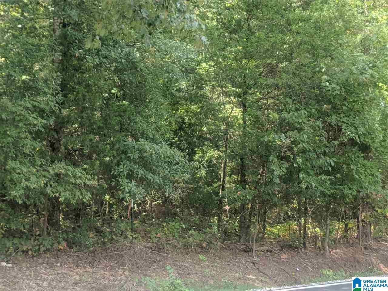 0 Old Broadwell Mill Road Jacksonville, AL 36265 - Photo 4 of 22