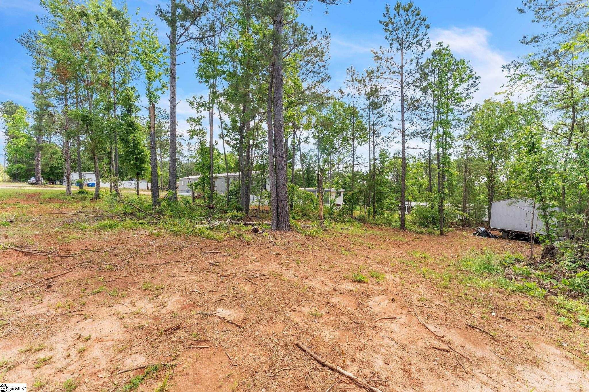 669 River Fork Road Waterloo, SC 29384 - Photo 5 of 18