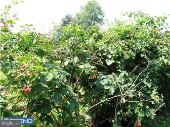 29 Rabbit Hill Road West Windsor, NJ 08550 - Photo 11 of 12 View