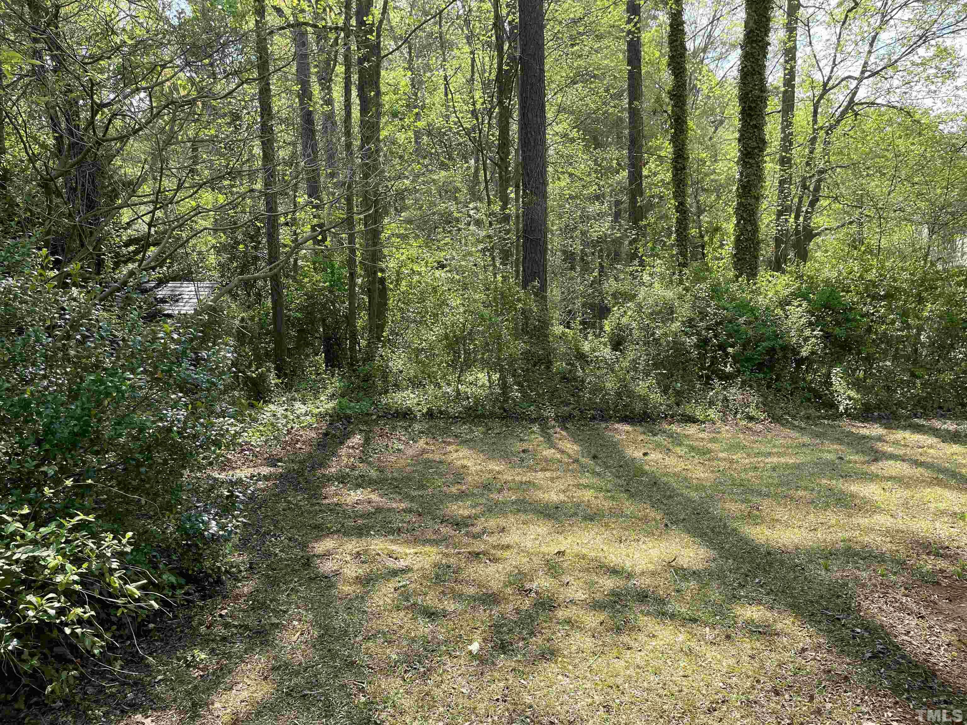 3401 Savan Court Raleigh, NC 27613 - Photo 26 of 27 a view of outdoor space and yard