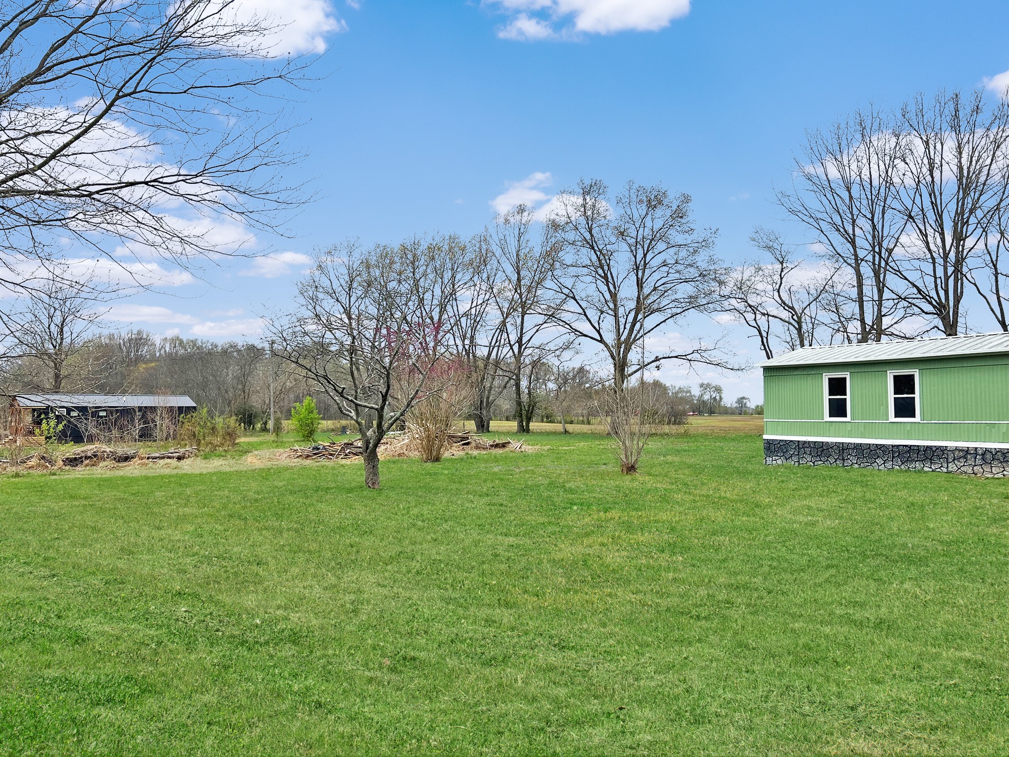 511 Hall-Leffew Road Franklin, KY 42134 - Photo 22 of 26 a view of a big yard of front a house