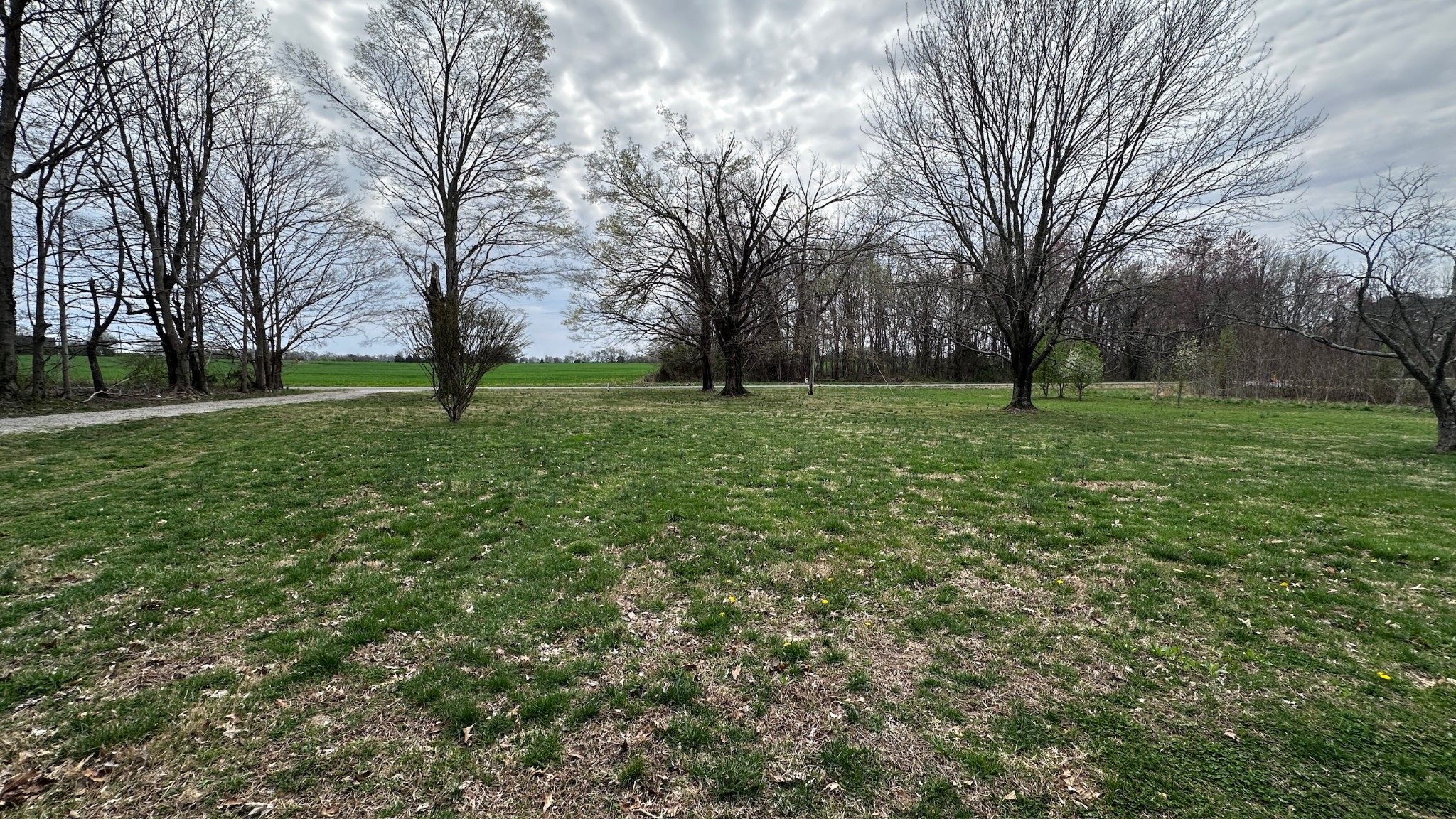 511 Hall-Leffew Road Franklin, KY 42134 - Photo 25 of 26 a view of a trees in a yard