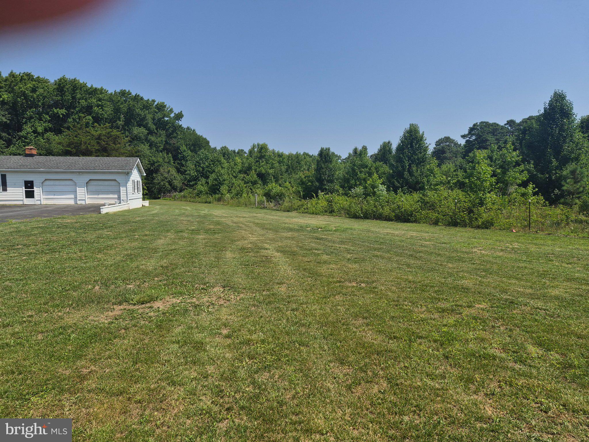 1043 Camp Road Denton, MD 21629 - Photo 14 of 17 Spacious lawn meets serene woodlands.