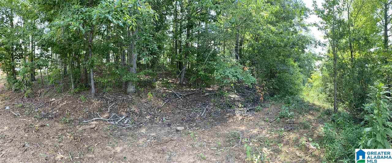 Lot 23 Cove Road, Unit 23 Sylacauga, AL 35151 - Photo 8 of 13