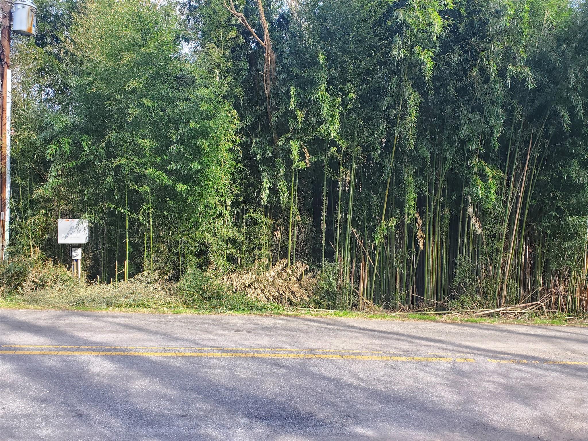 a view of a house with a yard and large trees