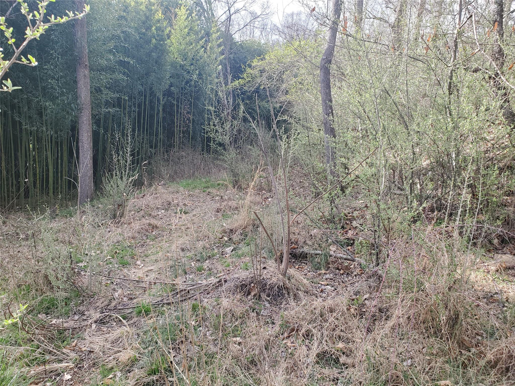 10 Streamview Lane Arden, NC 28704 - Photo 11 of 15 a view of a yard