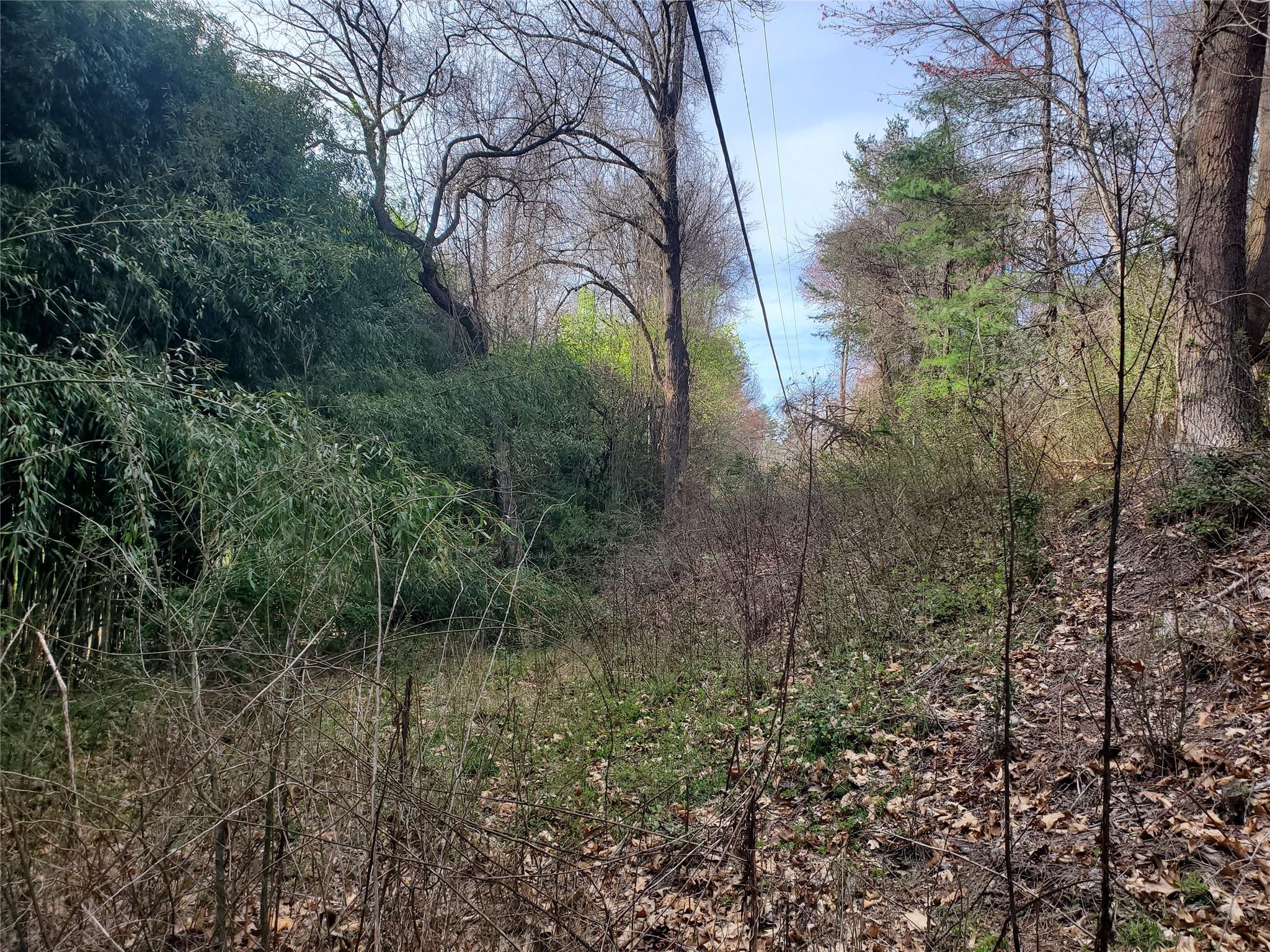 10 Streamview Lane Arden, NC 28704 - Photo 15 of 15 a view of forest