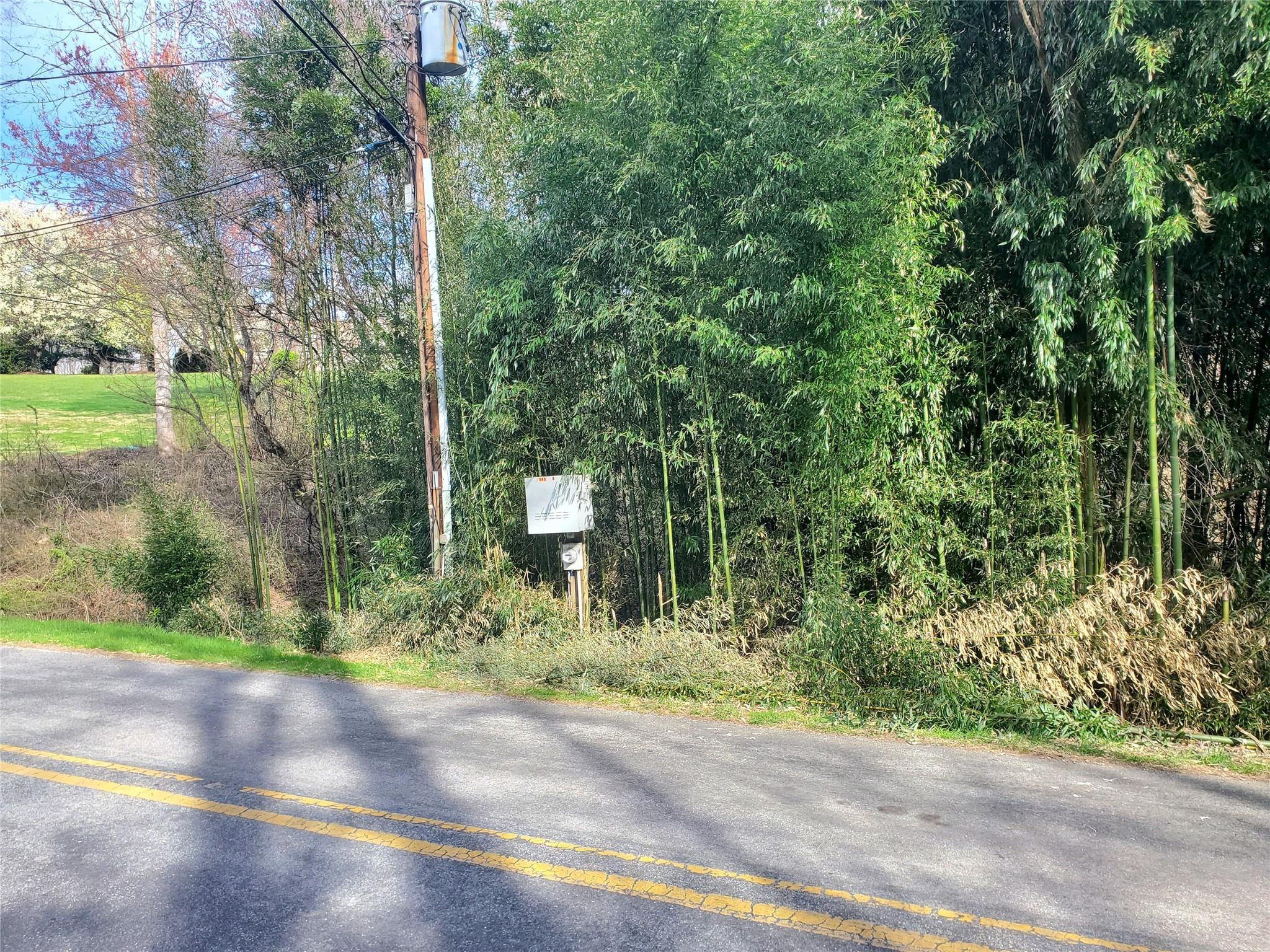 10 Streamview Lane Arden, NC 28704 - Photo 4 of 15 a view of a street with a trees