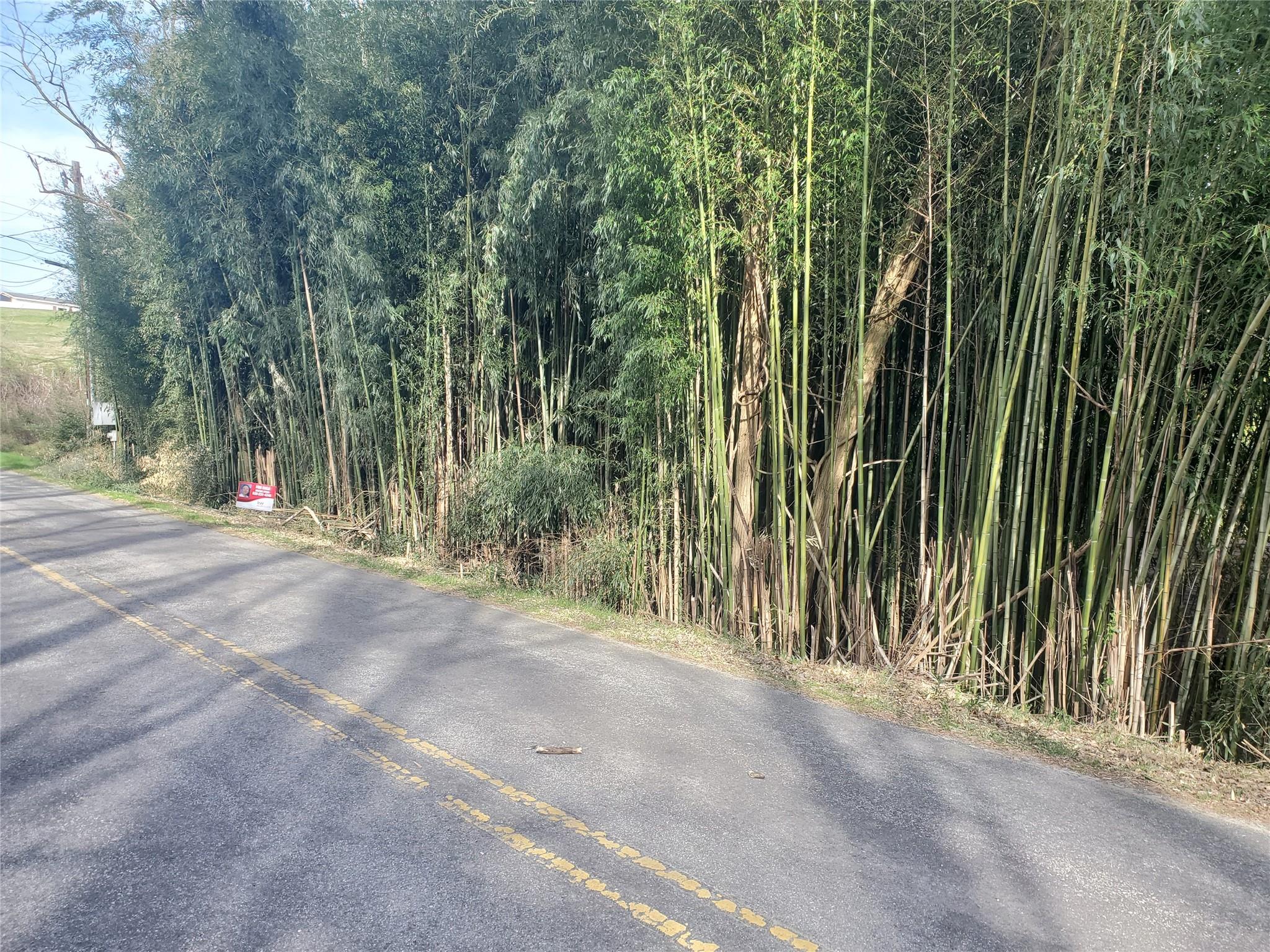 10 Streamview Lane Arden, NC 28704 - Photo 6 of 15 a view of outdoor space and yard