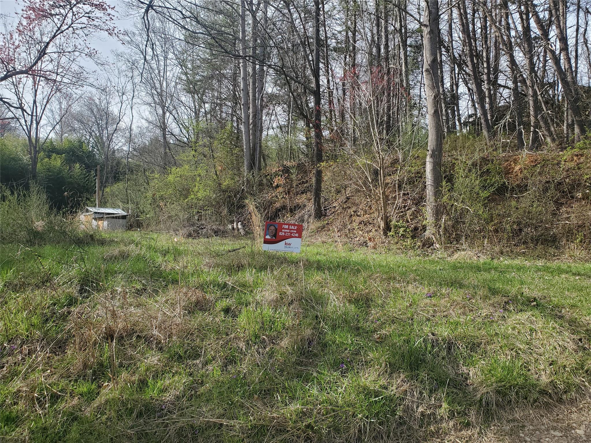 10 Streamview Lane Arden, NC 28704 - Photo 8 of 15 a view of outdoor space with trees all around
