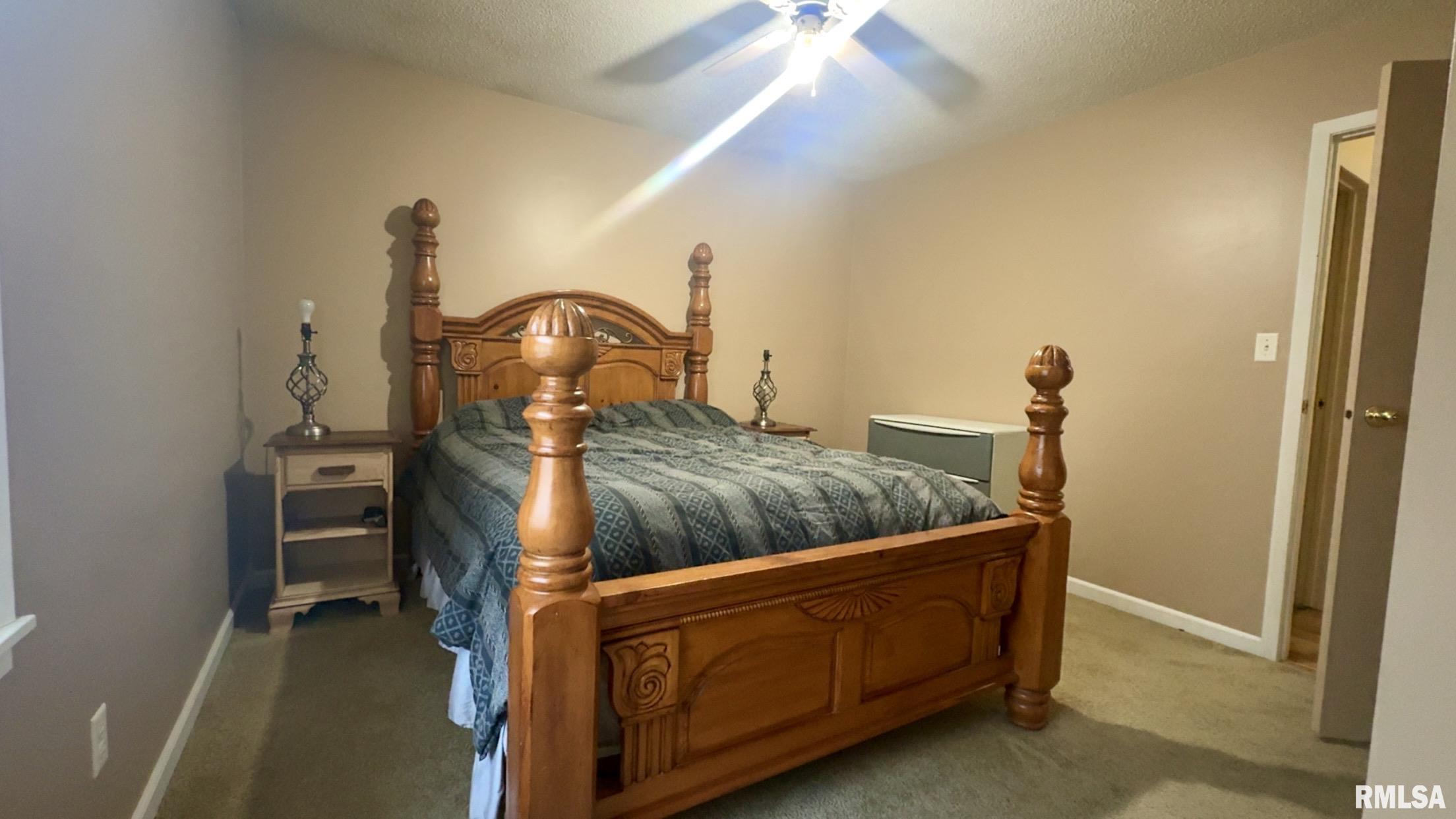 111 East Patton Valier, IL 62891 - Photo 15 of 16 Gallery Image 15