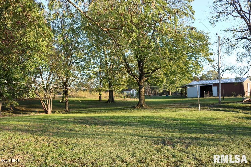 8942 Lawrence Road Iuka, IL 62849 - Photo 4 of 18