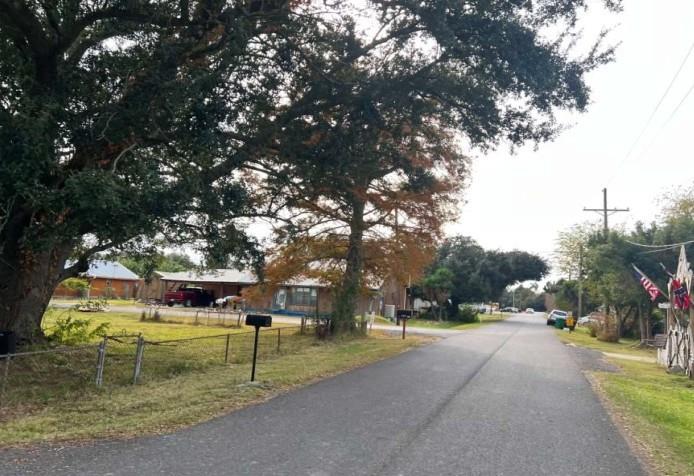 135 Pierce Street Golden Meadow, LA 70357 - Photo 4 of 5