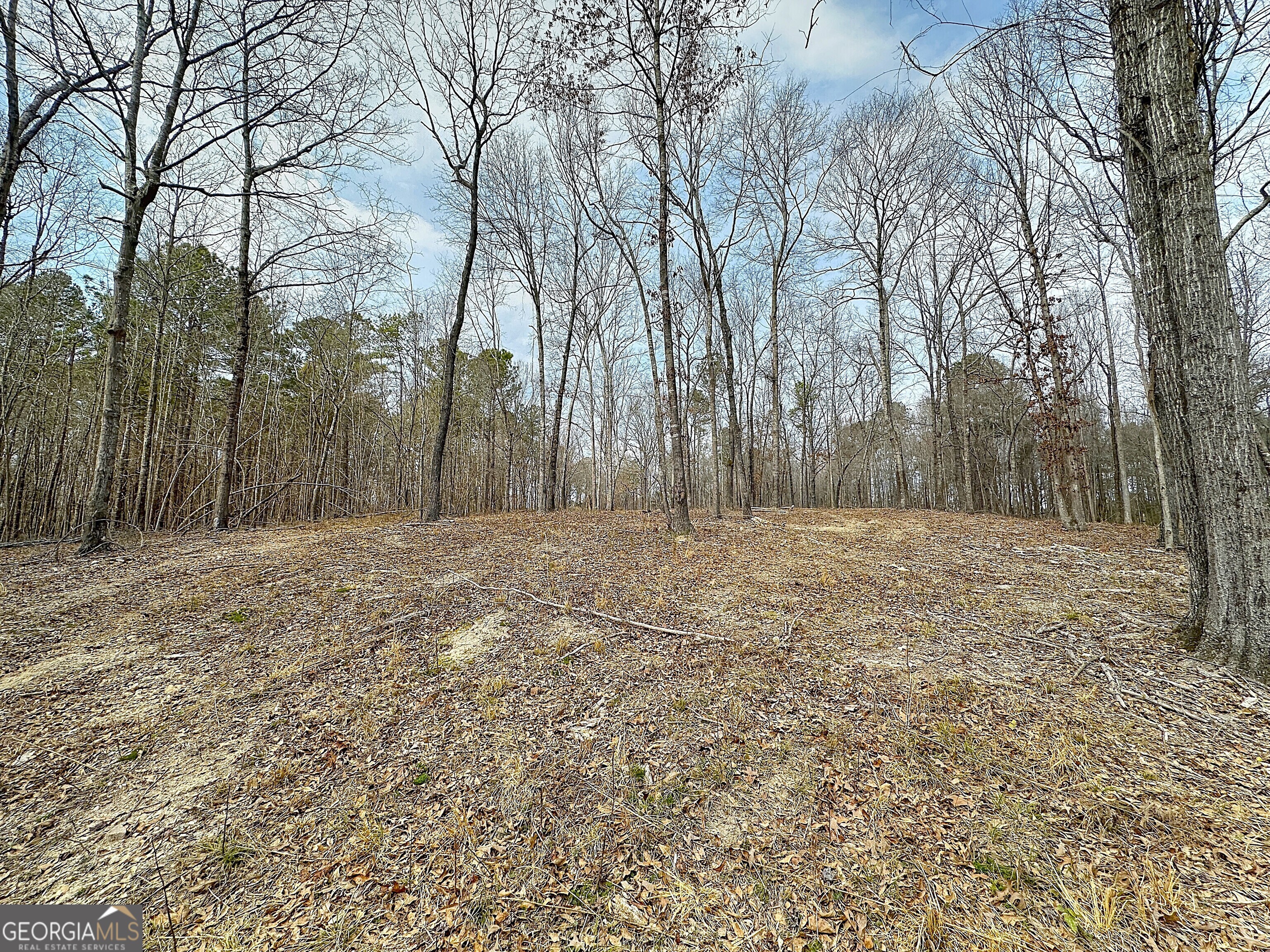 3900 Greenville Road LaGrange, GA 30241 - Photo 2 of 12 a view of a backyard