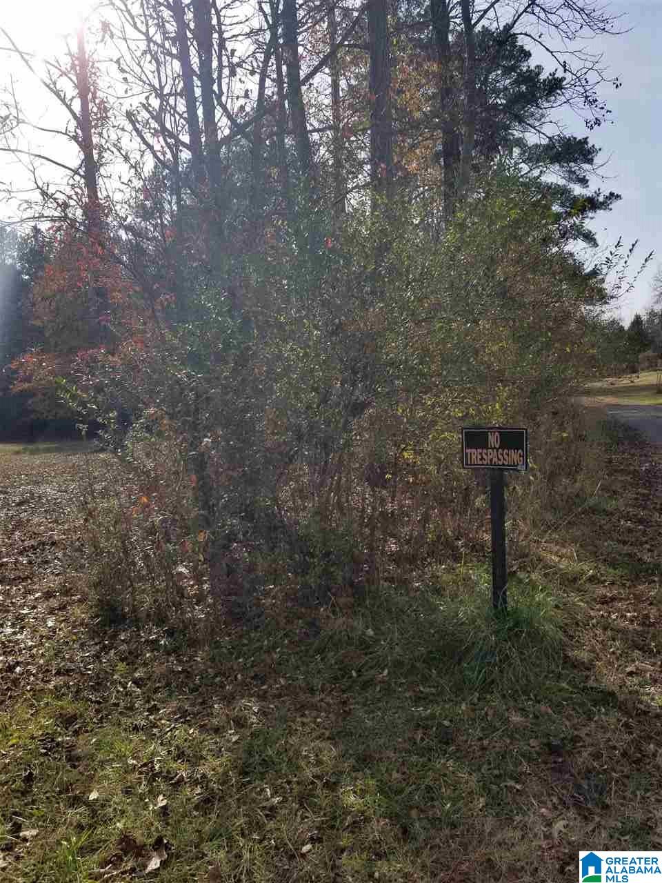0 Old Creek Road, Unit 1 Ohatchee, AL 36271 - Photo 8 of 8