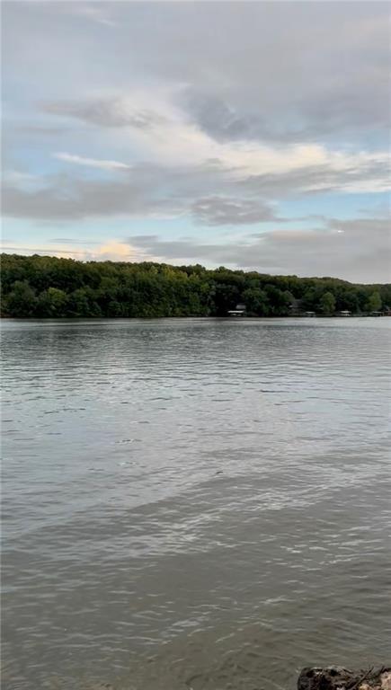 Daybreak Lane Edwards, MO 65326 - Photo 20 of 31