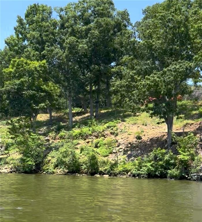 Daybreak Lane Edwards, MO 65326 - Photo 3 of 31