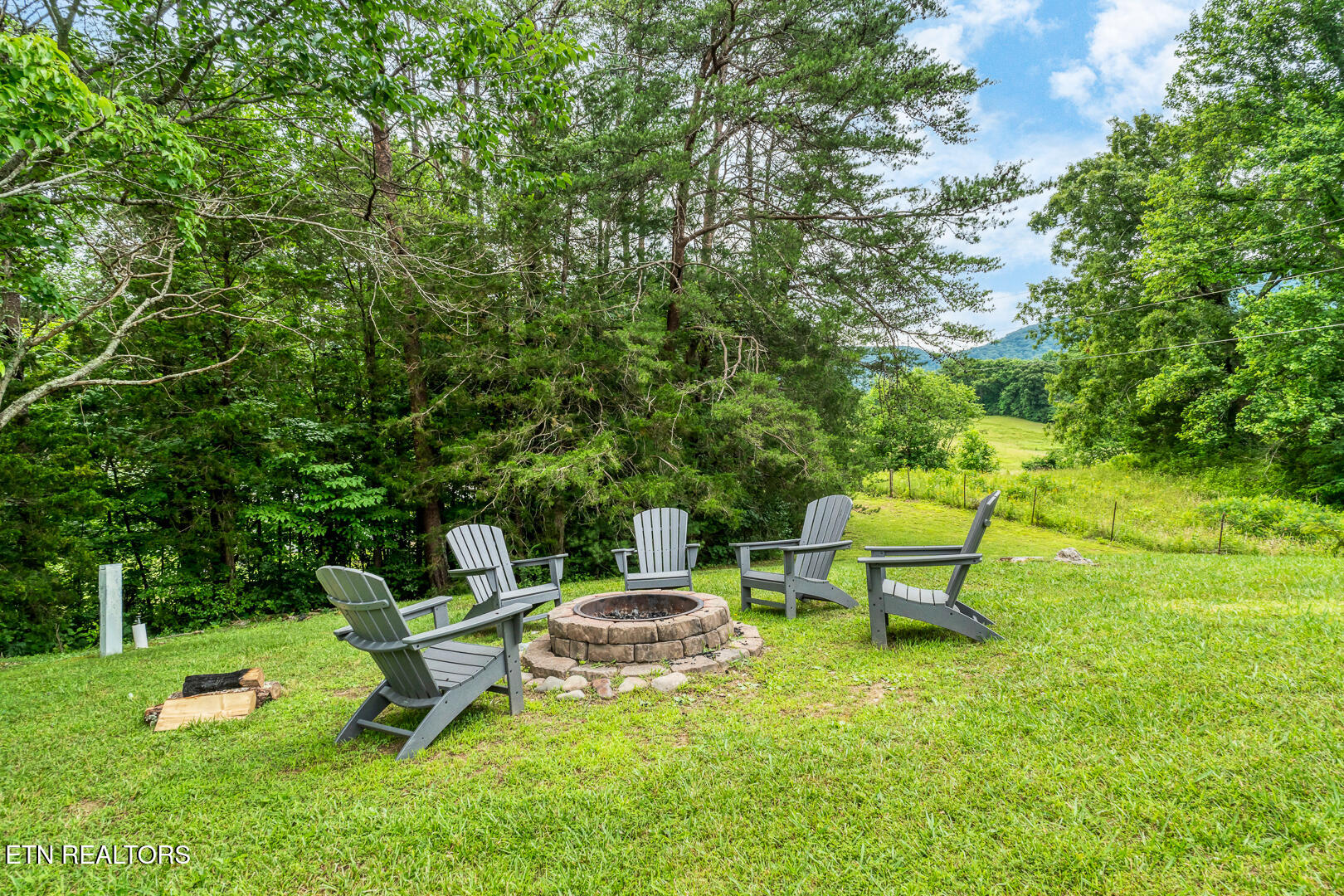 125-133 Westwing Cave Road Townsend, TN 37882 - Photo 4 of 50 DSC07129-2