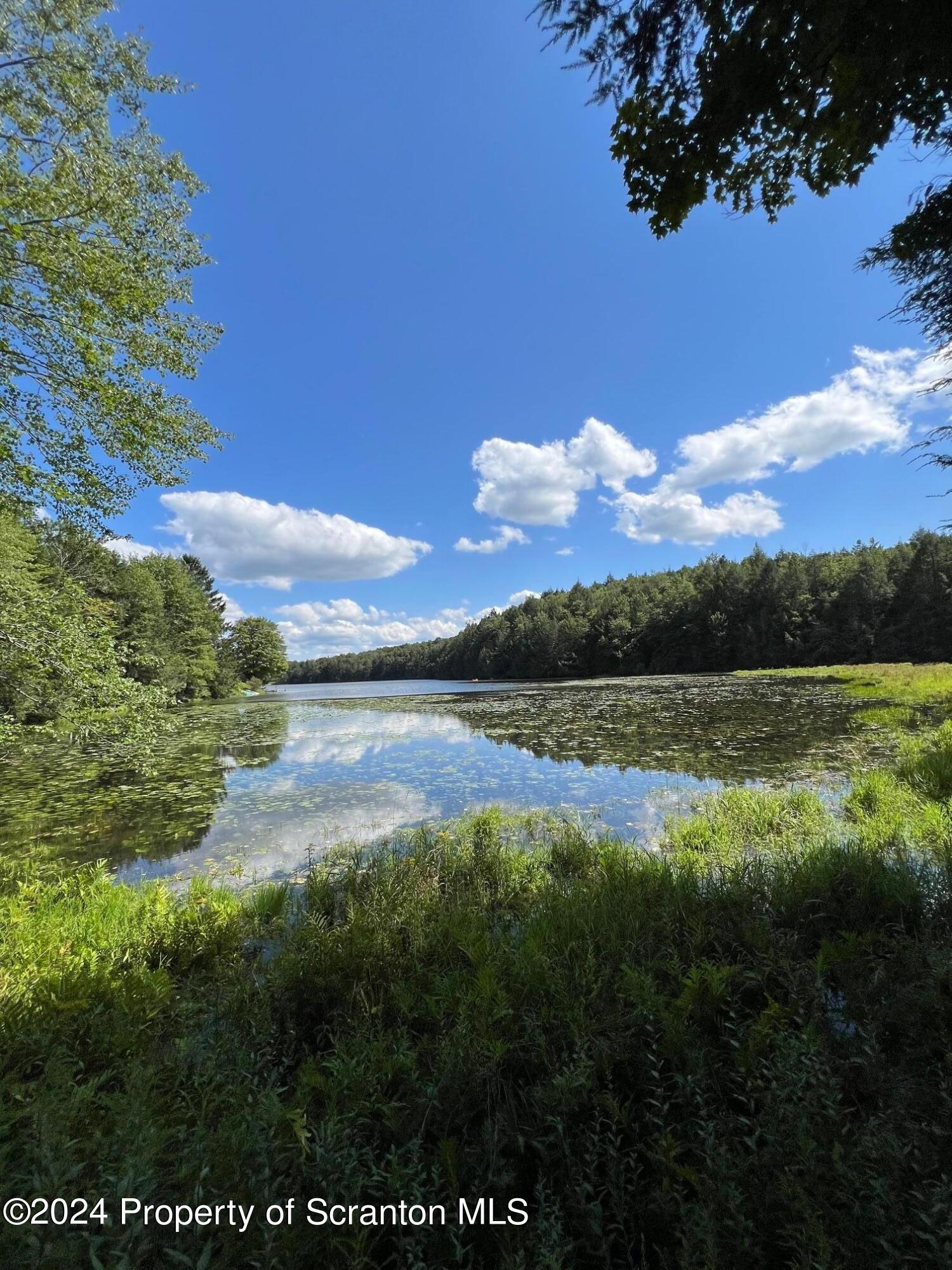 Lot #10 Stearns Lake Road Jackson, PA 18825 - Photo 1 of 12 Gallery Image 1