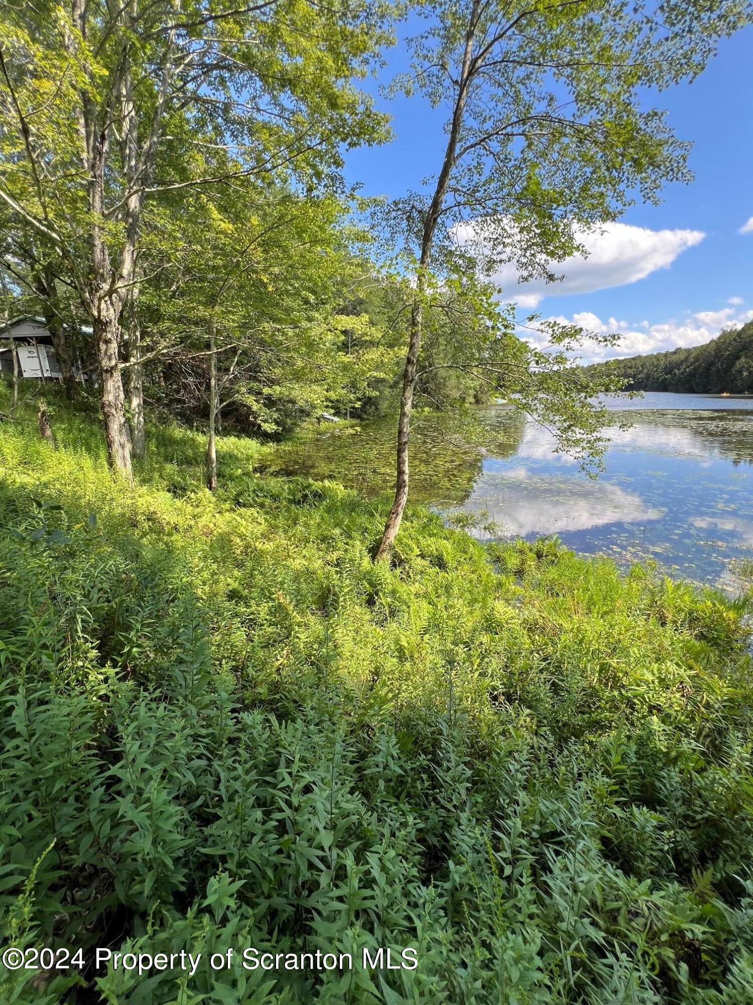 Lot #10 Stearns Lake Road Jackson, PA 18825 - Photo 4 of 12 Gallery Image 4