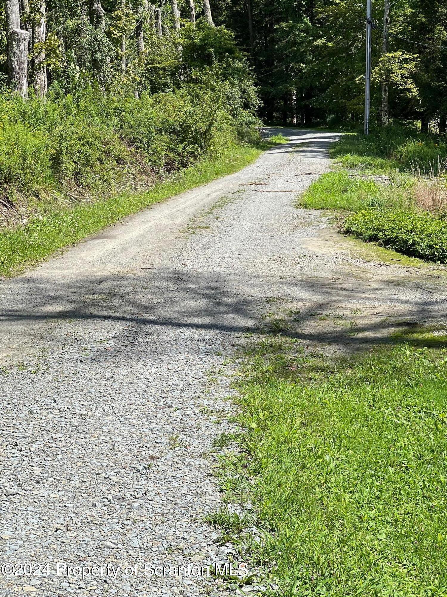 Lot #10 Stearns Lake Road Jackson, PA 18825 - Photo 6 of 12 Gallery Image 6