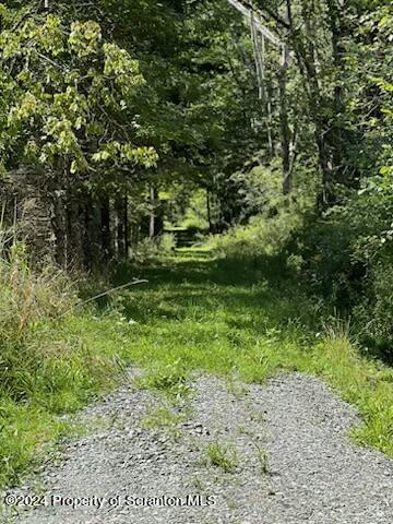 Lot #10 Stearns Lake Road Jackson, PA 18825 - Photo 7 of 12 Gallery Image 7