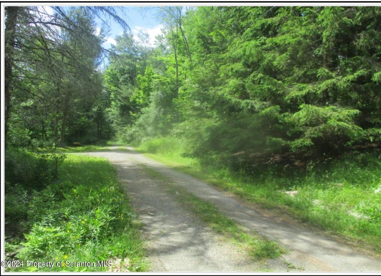 Lot #10 Stearns Lake Road Jackson, PA 18825 - Photo 8 of 12 Gallery Image 8