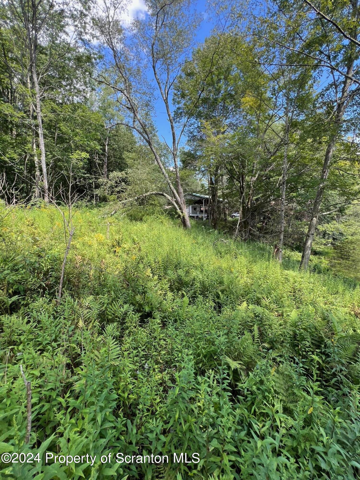 Lot #10 Stearns Lake Road Jackson, PA 18825 - Photo 9 of 12 Gallery Image 9